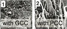 Differences in Failure Mode for PVC Containing PCC vs GCC