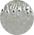 Pinhole Paint Defect Pinhole Paint Defect