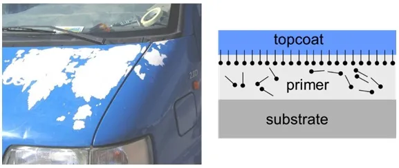 Poor intercoat adhesion caused by the presence of wetting agent in the primer