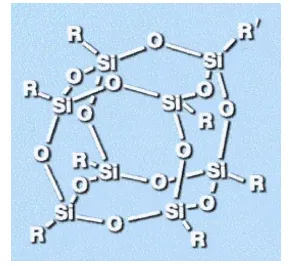 POSS Structure