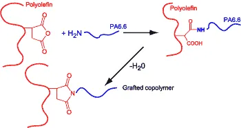 Maleated Polymers Maleated Polymers
