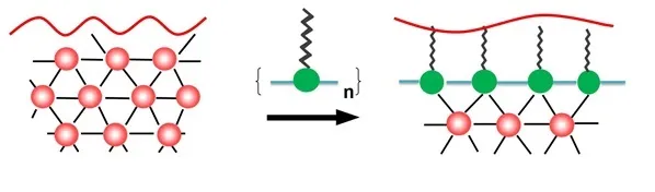 PTFE polymers Based on Fluorocarbon Monomers