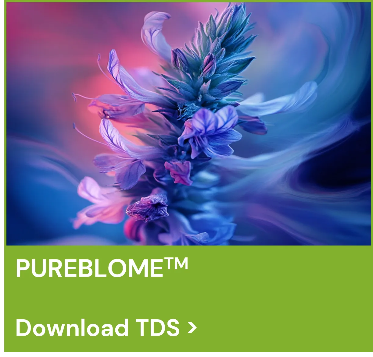 Pureblome TDS