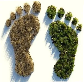 reduced carbon footprint-