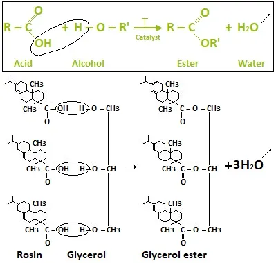 Rosin glycerol reaction Rosin glycerol reaction