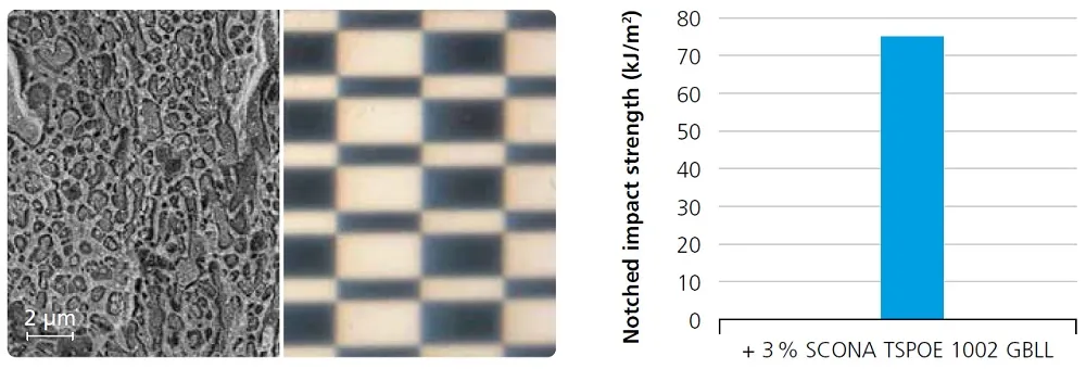 scona-lldpe-compatibilization