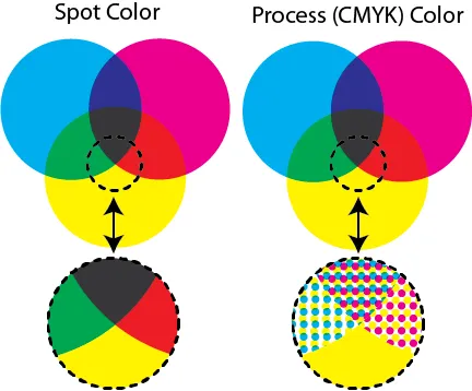 Spot and Process Color