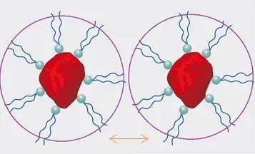 Steric Stabilization