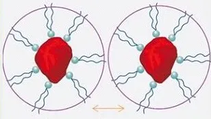 Steric Stabilization Steric Stabilization