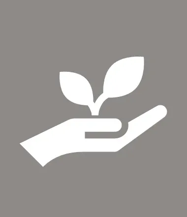Sustainability and Environmental Concerns Sustainability