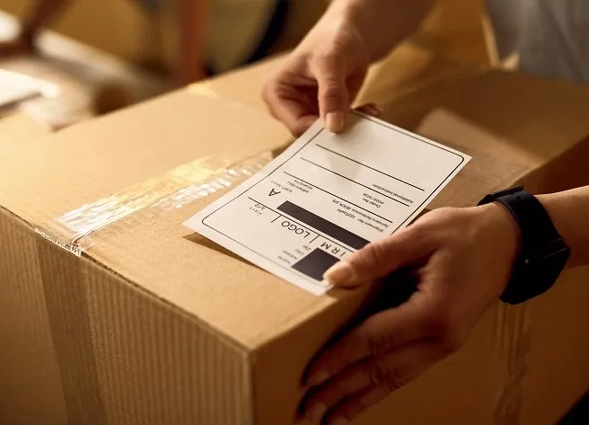 Sustainable Packing 1