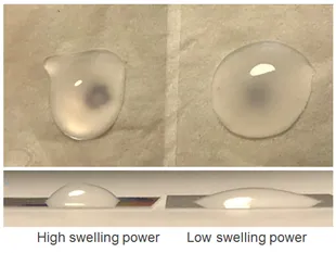 The swelling power of a thickening starch determines most of its textural attributes