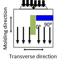 Transverse Direction