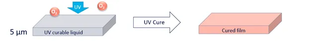 UV Curing Process with Cured Film Formation