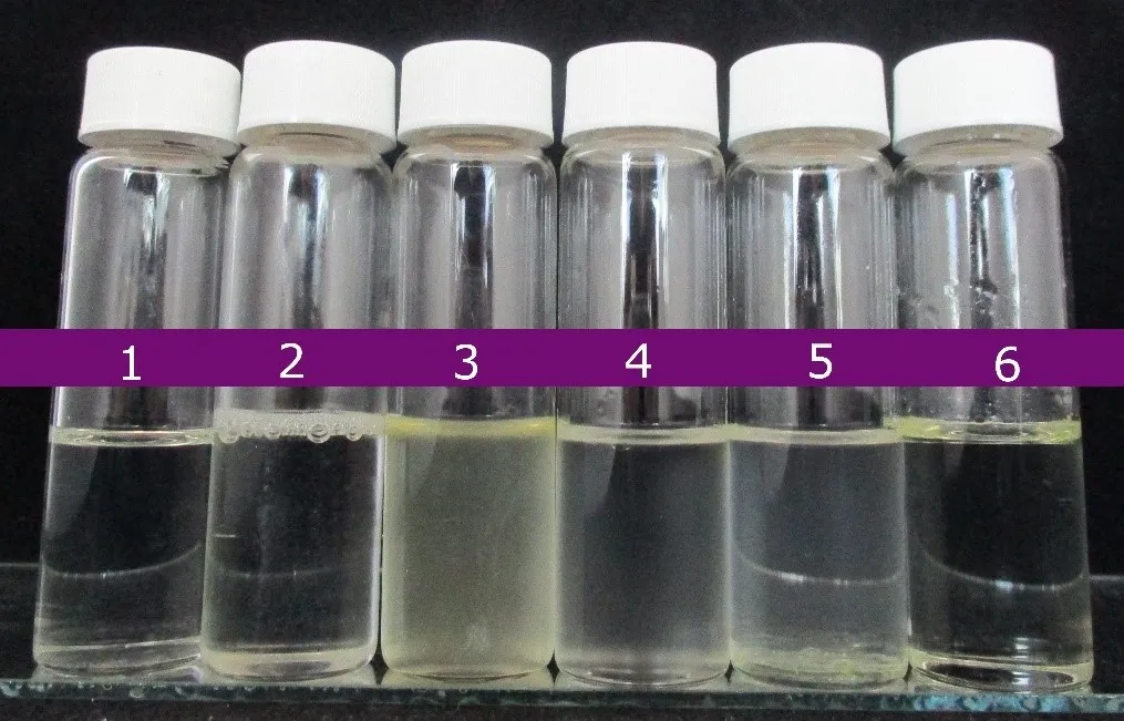 Visual differences and scores of Priplast™ 3186