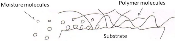 Water Molecules Penetrate a Polymer and Preferentially Displace it at the Interface Water molecules can penetrate a polymer