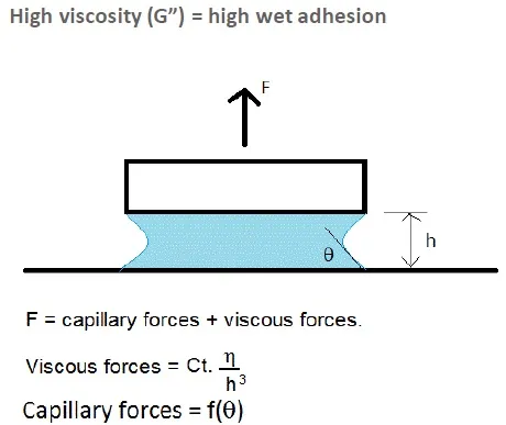 Wet Adhesion