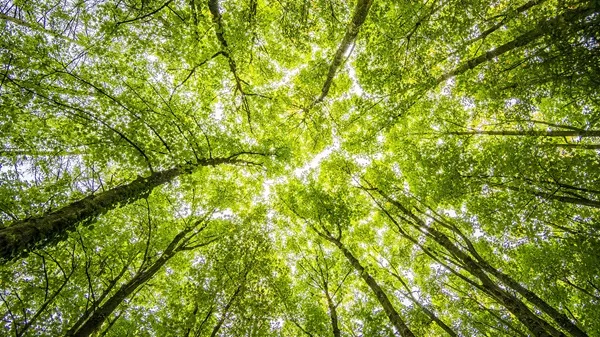 Azelis Unveils New Sustainability Program to Drive Innovation and Transparency