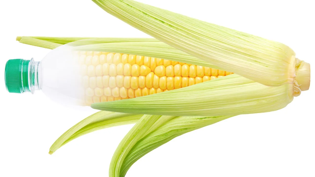 Bioplastics – Can they make your circularity & sustainability goals come true? Bioplastics – Can they make your circularity & sustainability goals come true?
