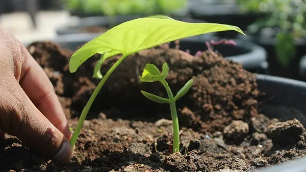 Cabot Publishes 2024 Sustainability Report