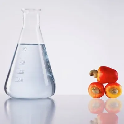 Cashew Nutshell Liquid (CNSL) Diols Bring Sustainability in PU