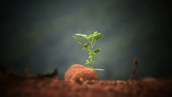 Lubrizol 2024 Sustainability Report