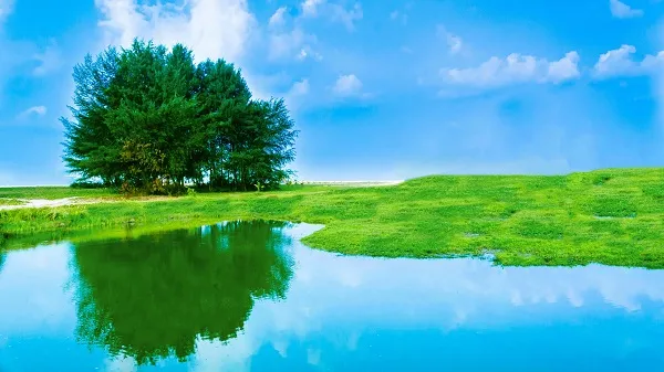 Nouryon 2023 Sustainability Report