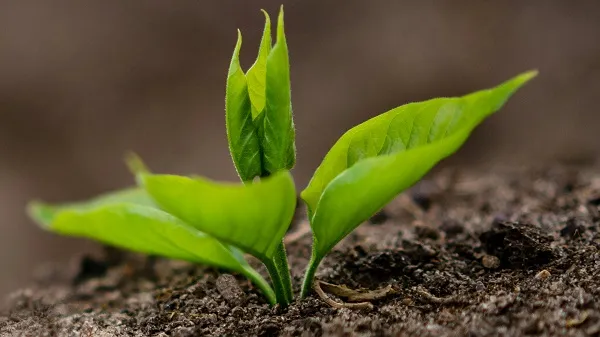 Nouryon releases sixth annual sustainability report