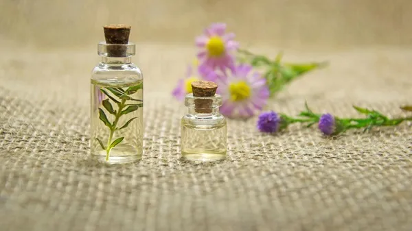 Sabinsa and Organica Aromatics to Showcase REACH-registered Ingredients at SIMPPAR