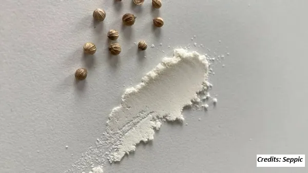Seppic Launches Powder Grade of Its Nutraceutical Active Ingredient for Skin Protection