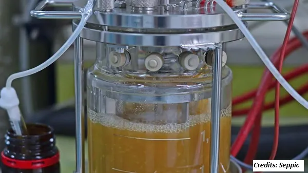 Seppic Opens New Laboratory Dedicated to Fermentation Biotechnologies in the US