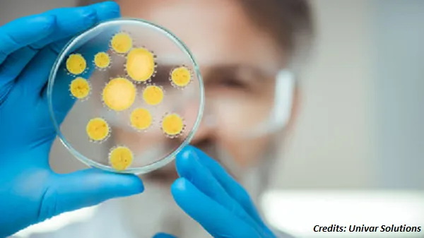 Univar Solutions Arxada Biocides Preservatives Brazil