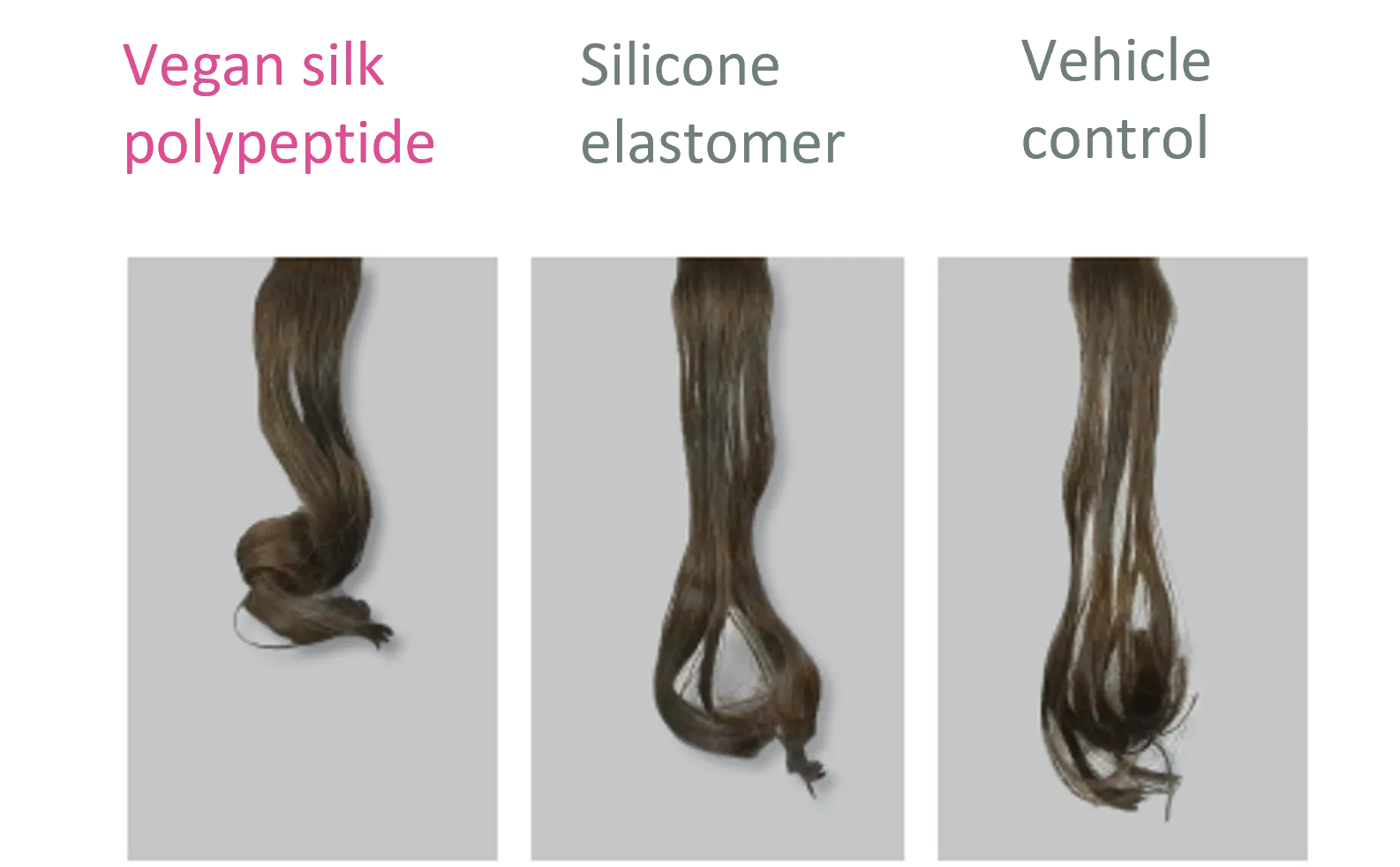 Vegan silk polypeptide in Hair Care