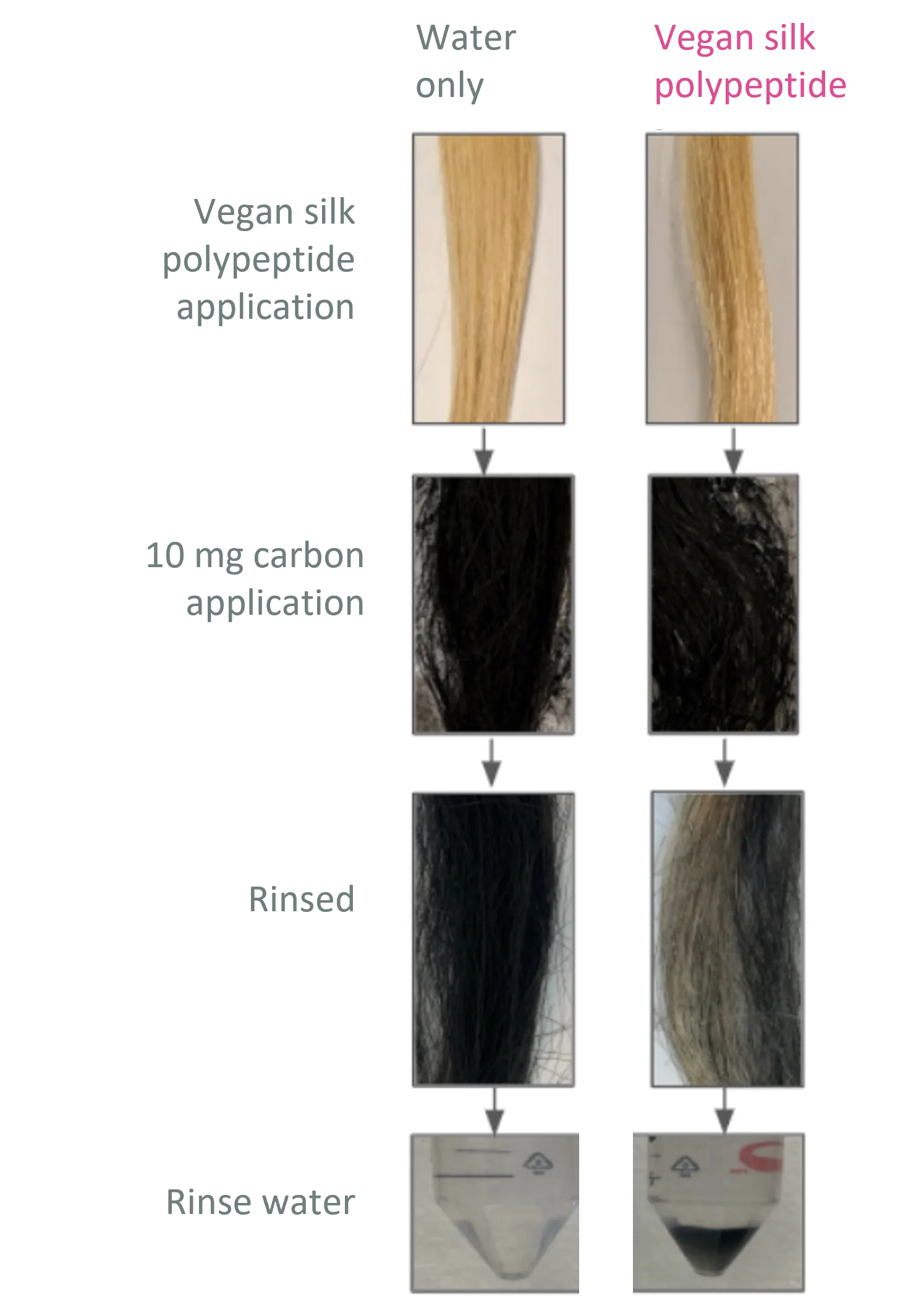 Vegan silk polypeptide application Vegan silk polypeptide application