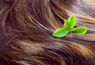 Benefits of Conditioning agent 