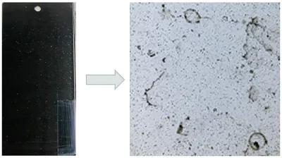 Hydrophilic Coating 