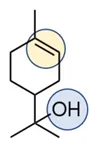 Terpineol molecule