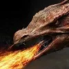 Borchi® Dragon