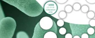 Deep Delivery Nanovesicles with 2% Azelaic acid and 0.50% Herbal extract