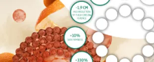 Vegan Deep Down Delivery Nanovesicles