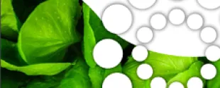 Deep Delivery Nanovesicles with 3% Phytonadione Epoxide