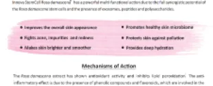 Stem cell