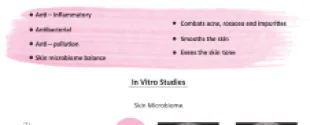 Stem cell
