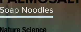 PALMOSALT Soap Noodles Nature Science