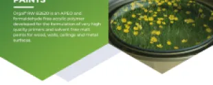 Biobased acrylic paints