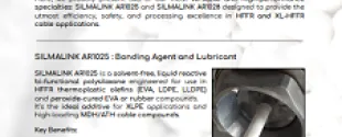 Improving Performance and Quality with Silma’s Additives