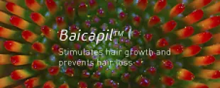 Baicapil
