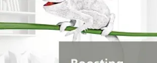 ChameleoBoost™