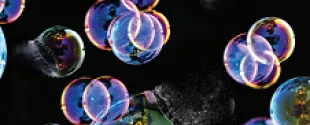Borchi Burst_picto