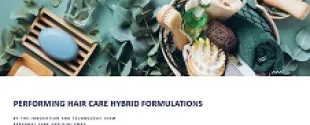 Hair Care Hybrid Formulations